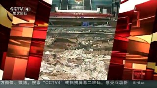 [中国新闻]“南海I号”考古发掘新发现 初步判断沉船为南宋“福船”