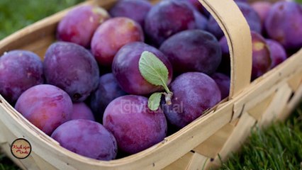 Kush vjen per dreke/ Perfitimet shendetesore te kumbulles (01.05.2018)