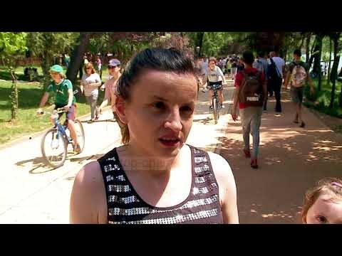 Sa pak protestë, sa shumë festë - Top Channel Albania - News - Lajme