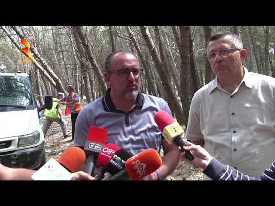 Vlore: Ndotje e madhe ne pyllin e Sodes