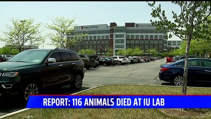 Watchdog Group Calls for Investigation After 116 Animals Die at Indiana University School of Medicine