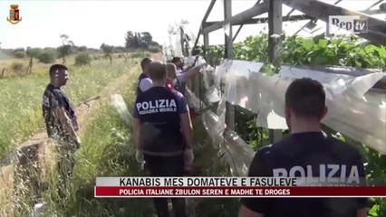 Download Video: Itali, policia zbulon serën e madhe të drogës - News, Lajme - Vizion Plus