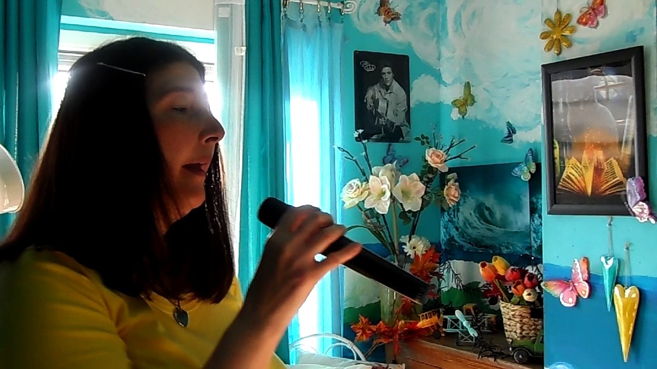 michel berger voyou voyou