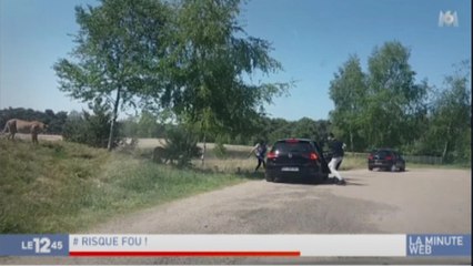 [Zap Actu] L'ambassade de la discorde, une famille française attaquée par des guépards (15/05/2018)