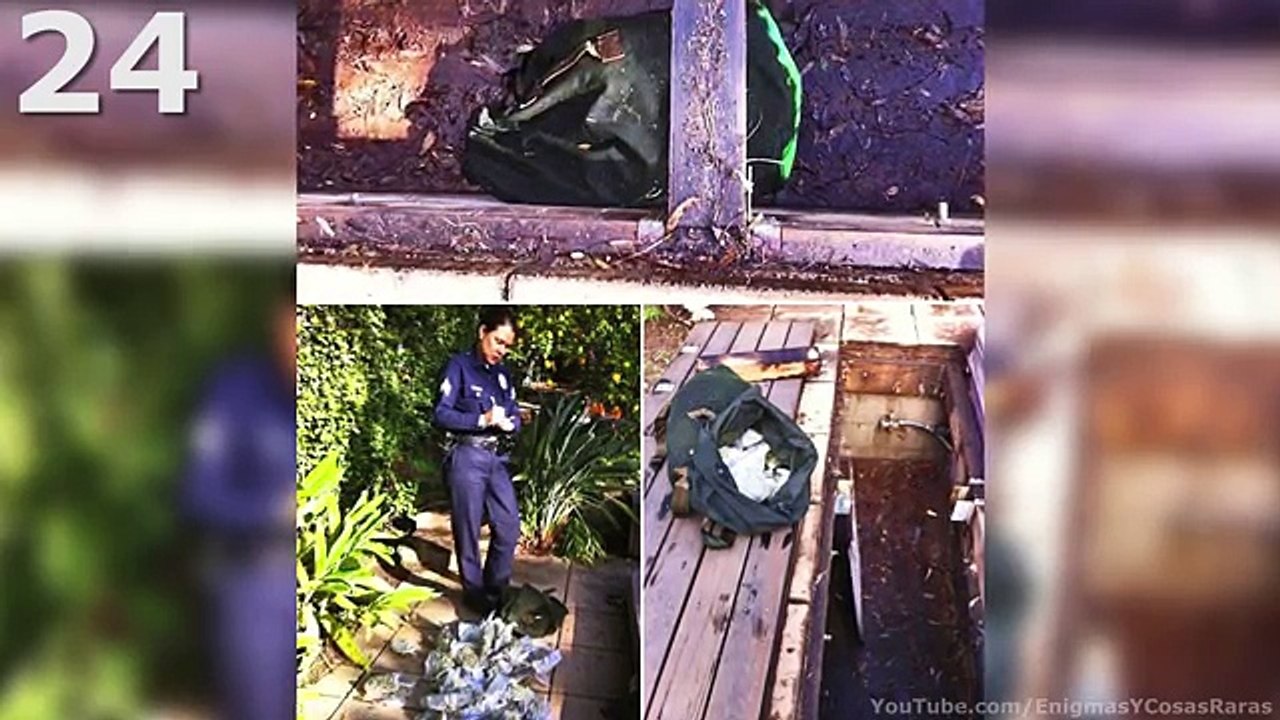 40 COSAS INSÓLITAS ENCONTRADAS EN JARDINES CASEROS