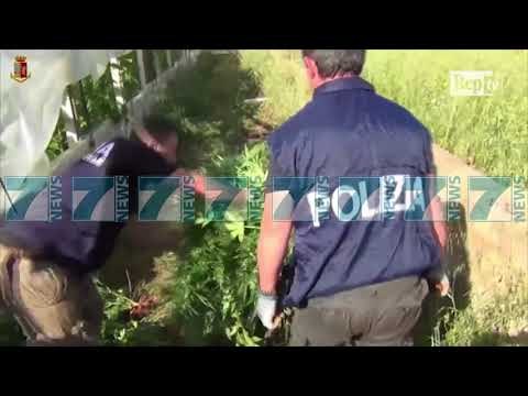 POLICIA ITALIANE ZBULON SEREN E MADHE TE DROGES - News, Lajme - Kanali 7