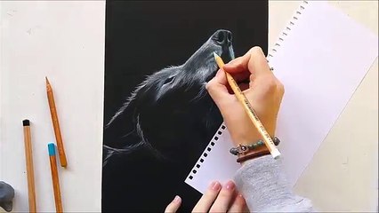 Drawing a white wolf with pastel pencils | Leontine van vliet