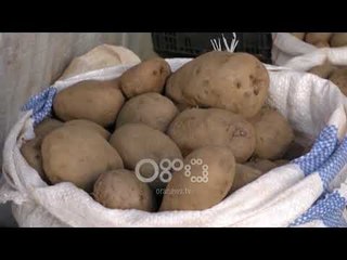 Ora News - Patatja mbetet stok në Kukës, s’ka treg për shitje