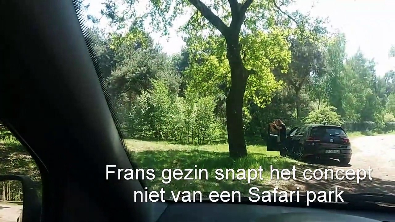 Des touristes français se font courser par un couple de guépards dans un parc zoologique