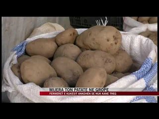 Kukës, mijëra ton patate në gropë - News, Lajme - Vizion Plus