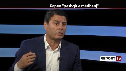Report TV - Ndreu: Ekstradimi i Çekajt nga Gjermania do jetë proces i vështirë