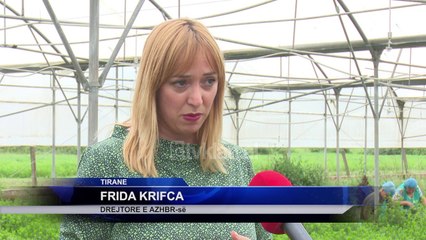 6 mije fermere aplikojne per masa mbeshtetese