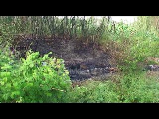 Detaje te reja mbi trupin e djegur ne Fushe–Kruje