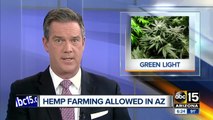 Governor Ducey approves law allowing hemp production in Arizona