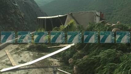 PERMBYSET TRAILERI ME PEME DEKORATIVE, VDES SHOFERI - News, Lajme - Kanali 15