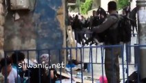 قوات الاحتلال تعتدي على فتاة وشابين في شارع نابلس بالقدس المحتلة، خلال احتجازهما مساء اليوم.#القدس_عاصمتنا#القدس_عربية