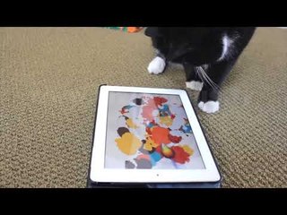 Next - Apps of the day - 9 Maj 2018 - Show - Vizion Plus