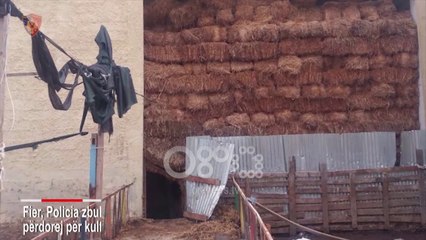 Ora News - Zbulohet laboratori i drogës në Fier, gjendet edhe një gomone