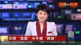 [中国新闻]印度“血腥”斗牛被“解禁”