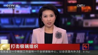 [中国新闻]打击极端组织：德国战机首次赴叙执行军事任务