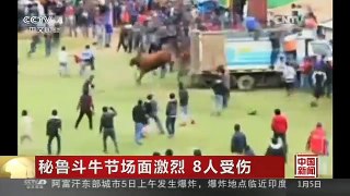[中国新闻]秘鲁斗牛节场面激烈 8人受伤