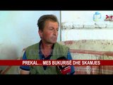 PREKAL… MES BUKURISË DHE SKAMJES