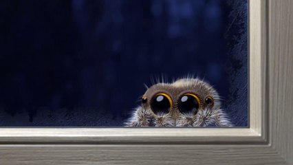 Lucas the Spider - Its Cold Outside