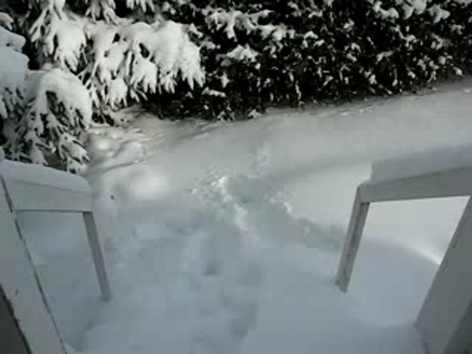 Visite sous la neige!