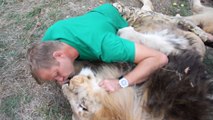 Son meilleur ami est un lion !