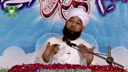 Muhammad Raza Saqib Mustafai (385)