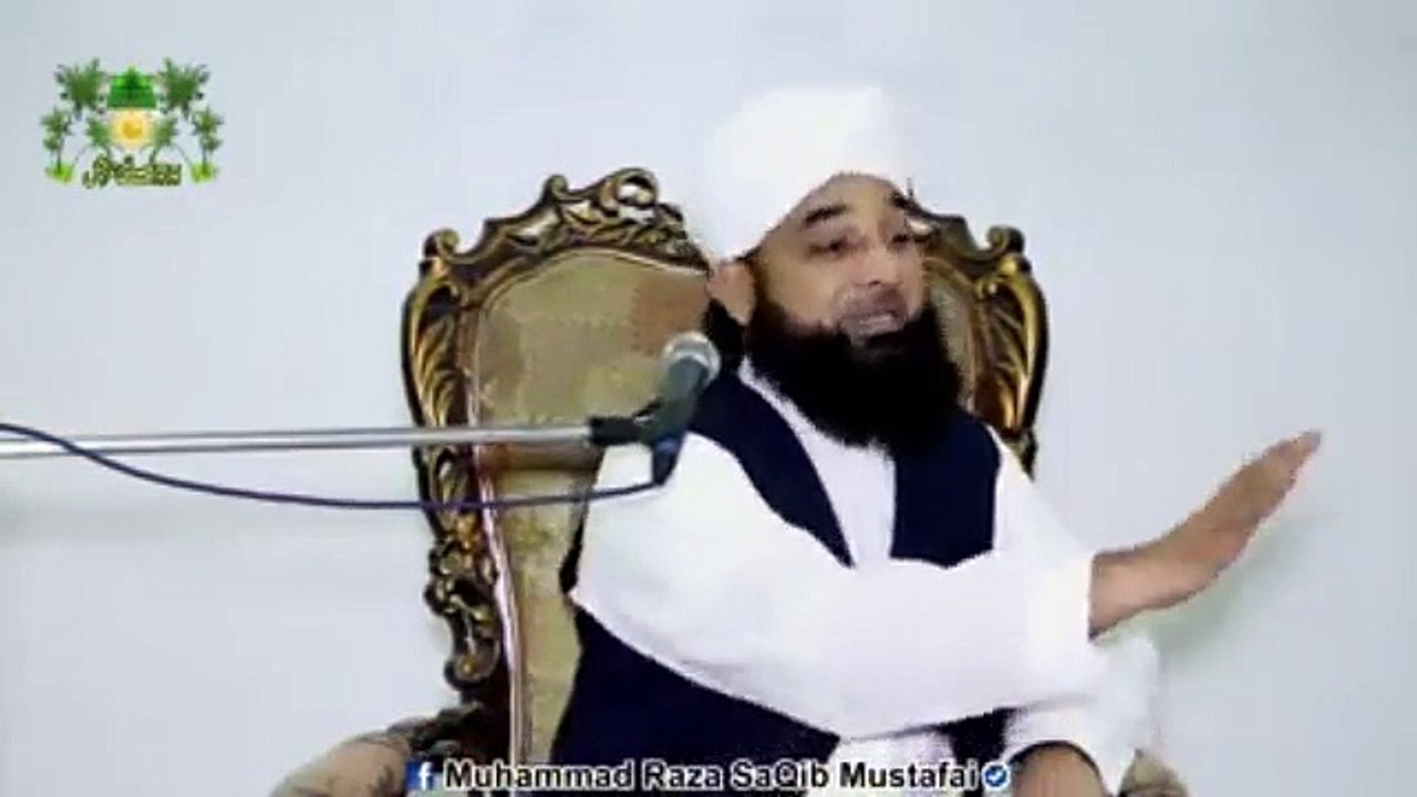 Muhammad Raza Saqib Mustafai (387)