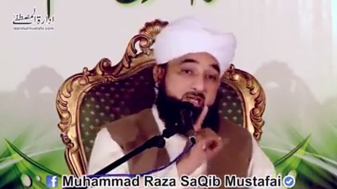Muhammad Raza Saqib Mustafai (389)