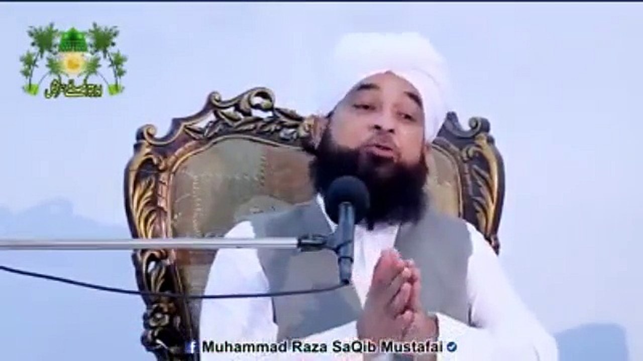 Muhammad Raza Saqib Mustafai (393)