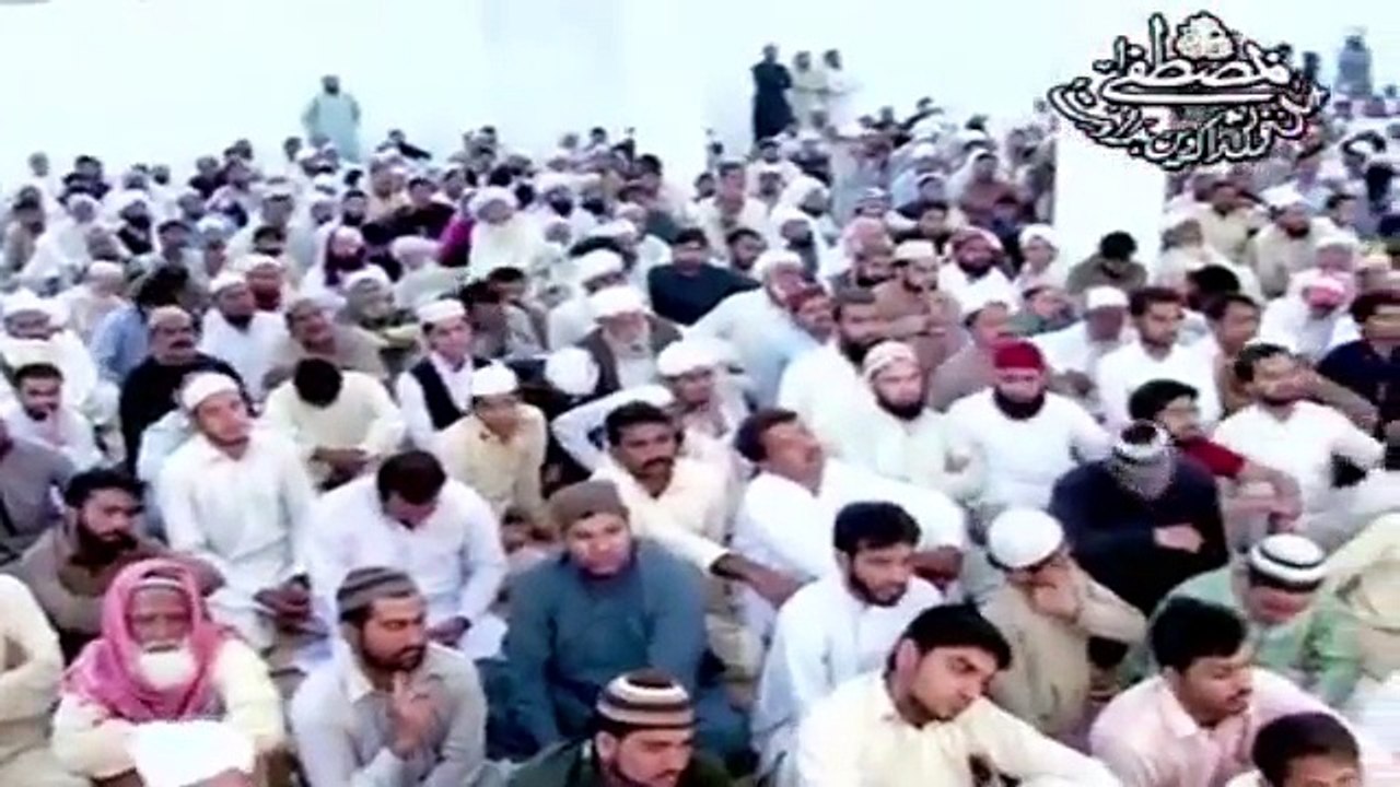 Muhammad Raza Saqib Mustafai (401)