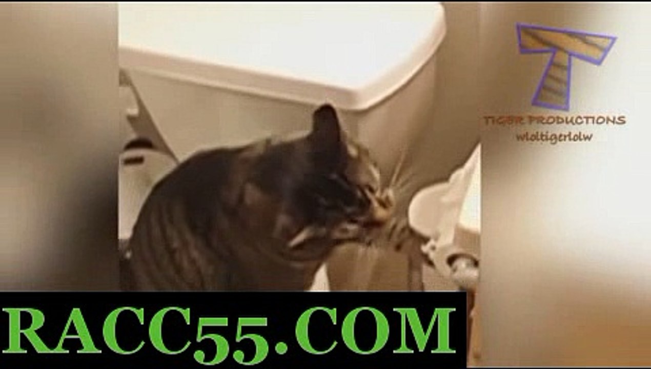 일본경마사이트 , 국내경마사이트 , RACC55 . CoM 미사리경정