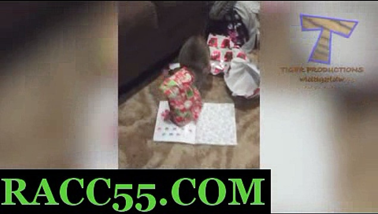 일본경마사이트 , 국내경마사이트 , RACC55 . CoM 검빛닷컴