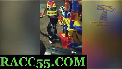 인터넷경마 , 사설경마 , RACC55.CoM 에이스경마