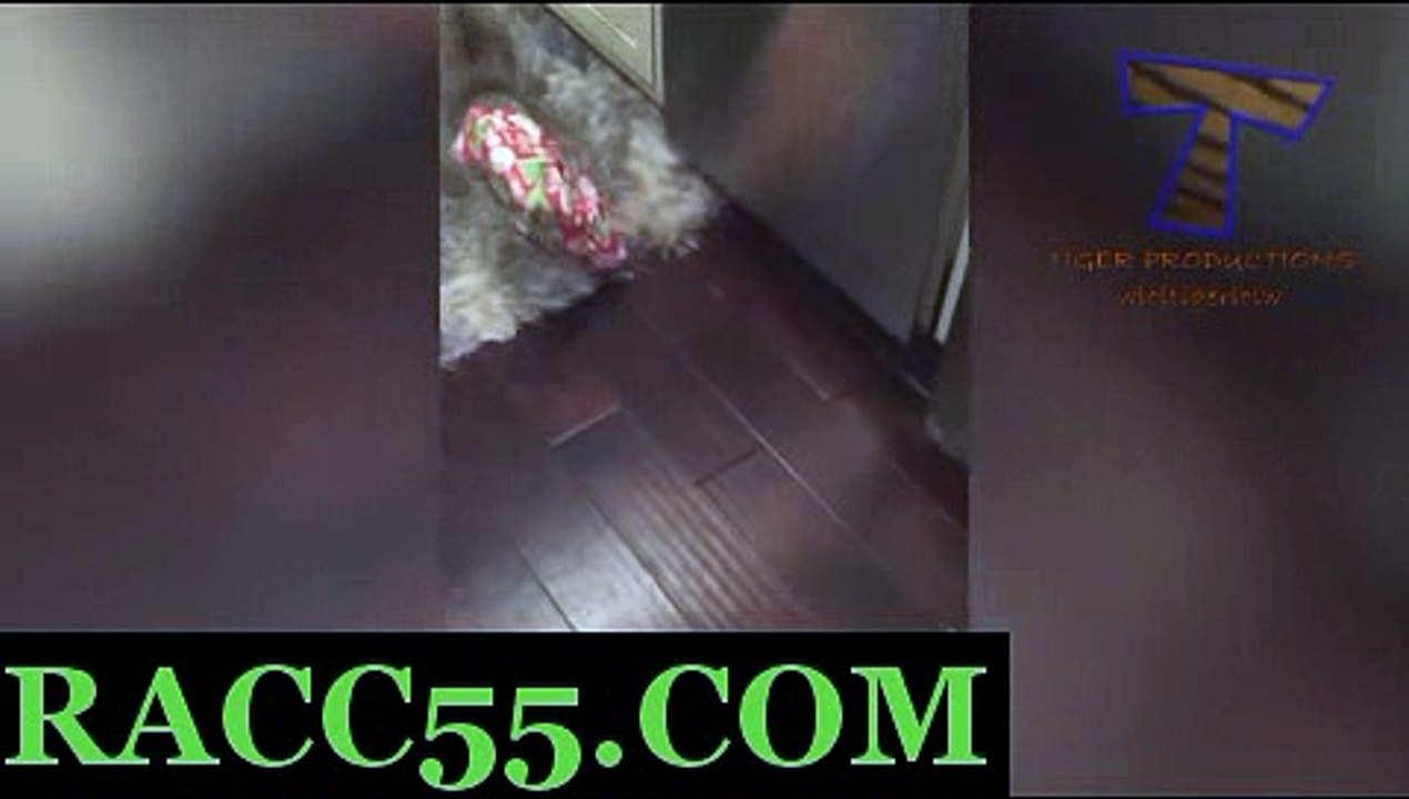 경륜왕 , 경마픽 , RACC55쩜COM 사설경륜 경륜왕 , 경마픽 , RACC55쩜COM 경륜왕 , 경마픽 , RACC55쩜COM♬경륜왕 , 경마픽 , RACC55쩜COM♬경륜왕 , 경마픽 , RACC55쩜COM♬경륜왕 , 경마픽 , RACC55쩜COM♬경륜왕 , 경마픽 , RACC55쩜COM♬경륜왕 , 경마픽 , RACC55쩜COM♬