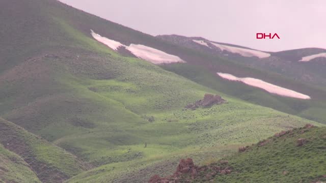 Hakkari Terörden Temizlenen Yaylalar Şenlendi