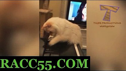 일본경마사이트 , 국내경마사이트 , RACC55 . CoM 일본경마 일본경마사이트 , 국내경마사이트 , RACC55 . CoM 일본경마사이트 , 국내경마사이트 , RACC55 . CoMベ일본경마사이트 , 국내경마사이트 , RACC55 . CoMベ일본경마사이트 , 국내경마사이트 , RACC55 . CoMベ일본경마사이트 , 국내경마사이트 , RACC55 . CoMベ일본경마사이트 , 국내경마사이트 , RACC55 . CoMベ일본경마사이트 , 국내경마사이트 ,