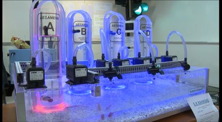 'Εκθεση μαθητικών έργων ΕΠΑΛ Χαλκίδας