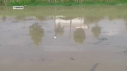 Pa Koment - Ndotet lumi në Lezhë