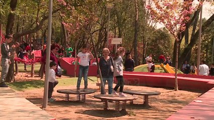 Më shumë vdekje se lindje, bie me shpejtësi numri i popullsisë - Top Channel Albania - News - Lajme