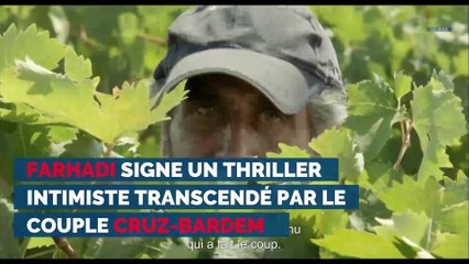 Les coups de cœur du MAD : semaine du 17/05/2018