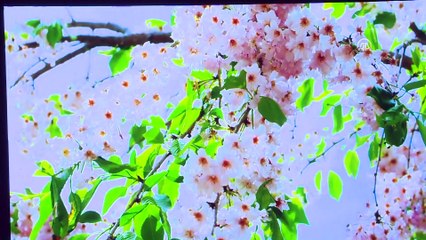 '3. İyilik Okulu Ödülleri' sahiplerini buldu - ANKARA