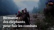 Birmanie : des civils fuient les combats à dos d’éléphants