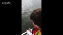 Magical dolphin encounter off South Carolina coast for boy and his grandad