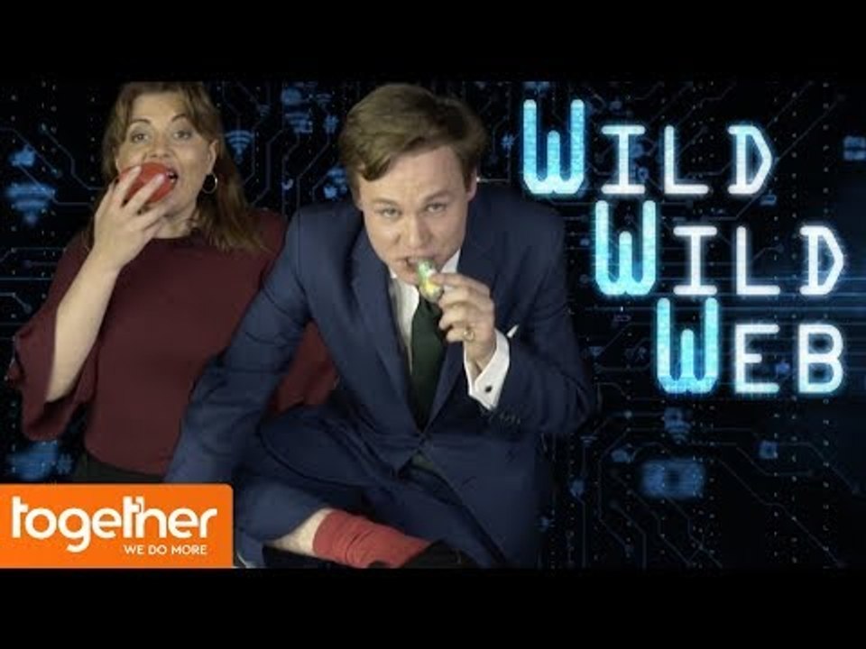 Wild Wild Web Episode 8