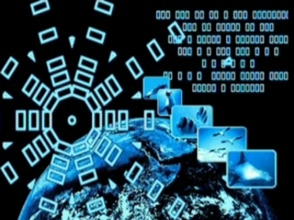 a duke618 video - Brian Wilson - Smart Girls