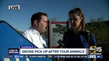 Pet waste creating health hazards in Arizona